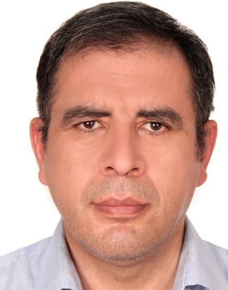 Alireza Kamel Mirmostafaee
